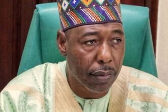 Governor Babagana Zulum of Borno State